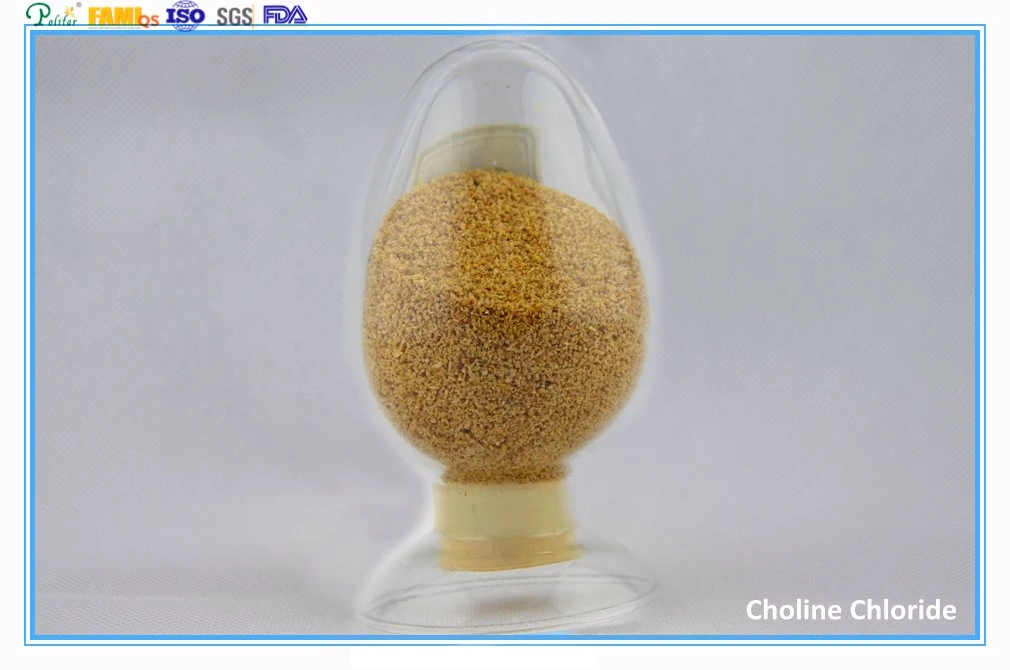 Choline Chloride 60% Corn COB Non-GMO Export Standard