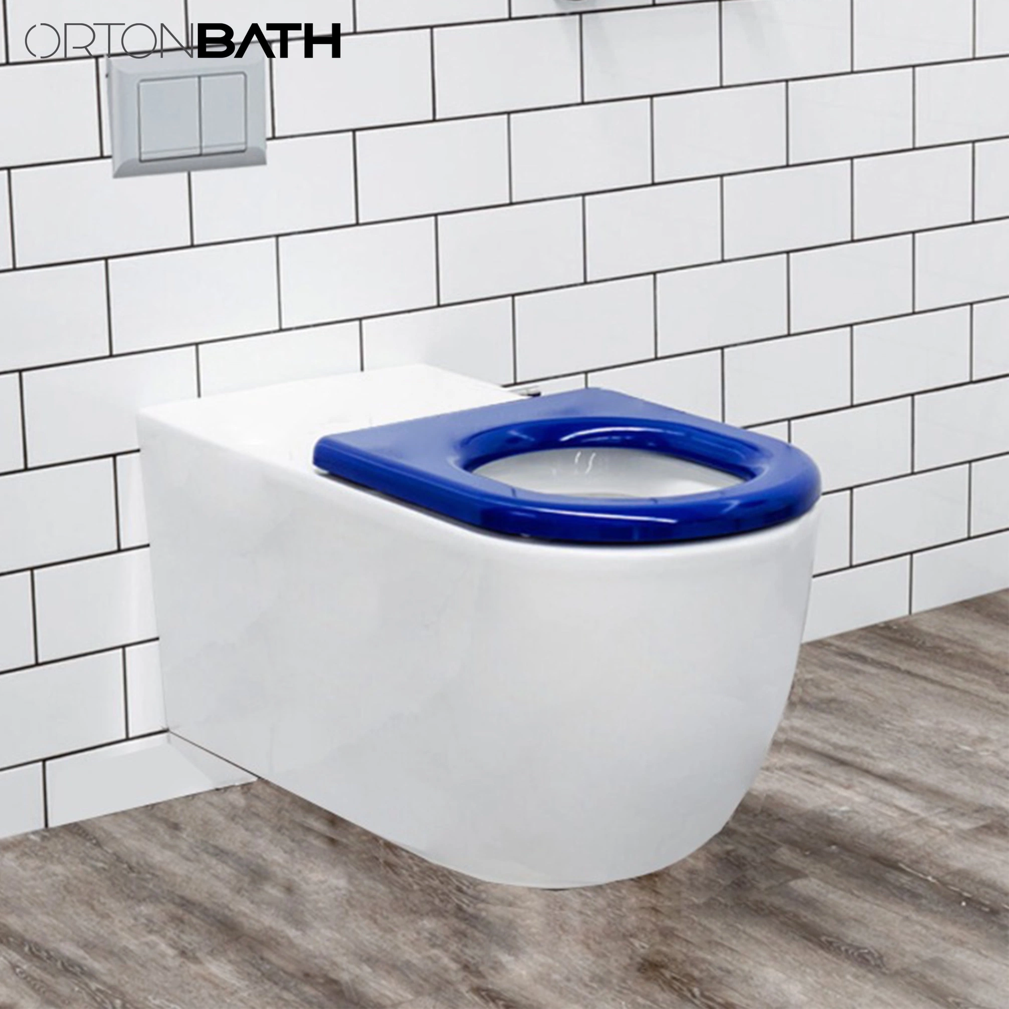 Ortonbath Wall Hanging Toilet Medical Care Sanitary Elder Wc Hospital Medical Care Sanitary Disable Wc Hospital Special Care