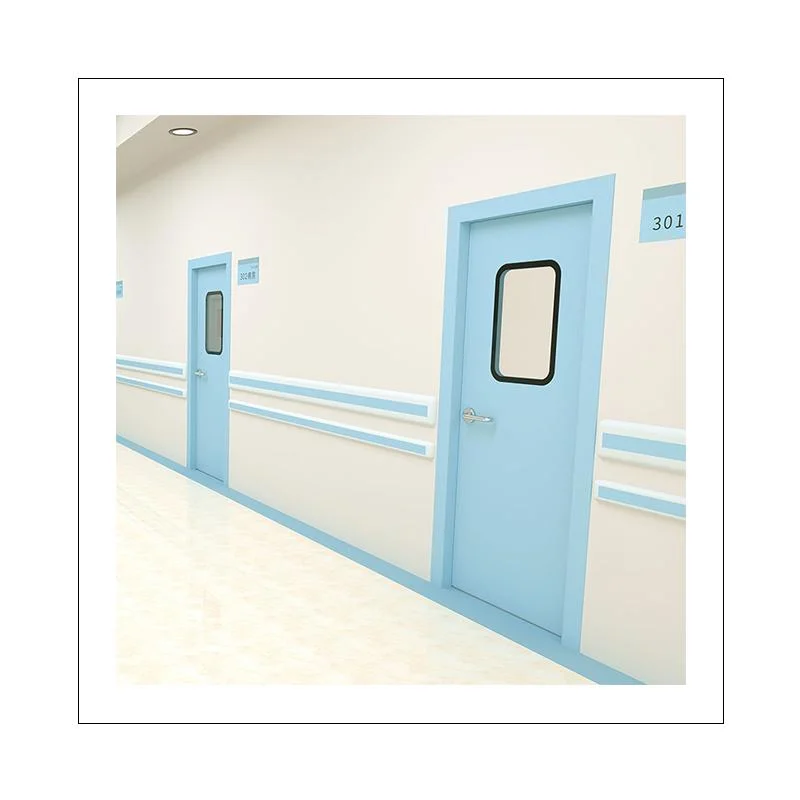 Shp Modular Swing Cleanroom Door