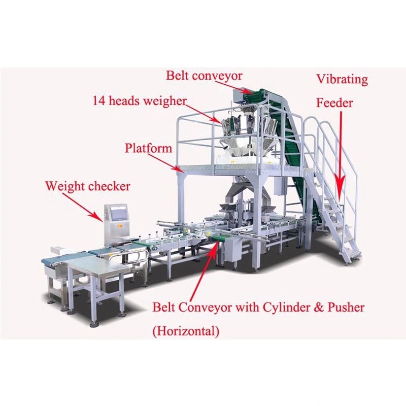 Fully Auto High Speed Carton Box Filling Packing Machine