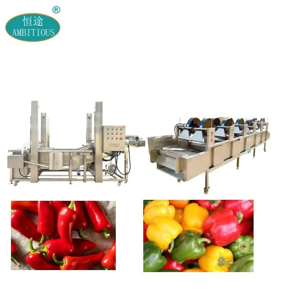 Pepper Washing and Drying Line Vegetable Processing Line