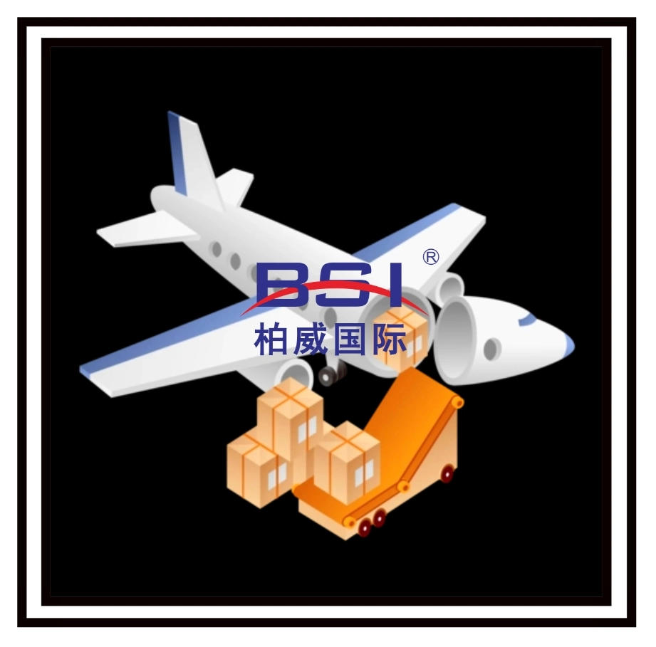 Top 1--BSI--Морское судоходство Air Cargo Service Door to Door Service to USA UK Germany France Express Courier Freight Forwarder