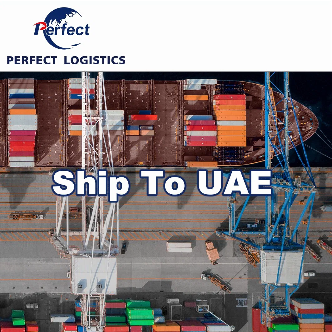 Professional Sea Forwarder Shipping Agent Freight Cost Rates China to Dubai UAE Saudi Arabia