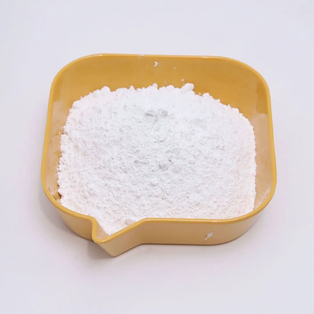 98% High Purity Powder Coating Raw Material HPMC Daily Chemicals