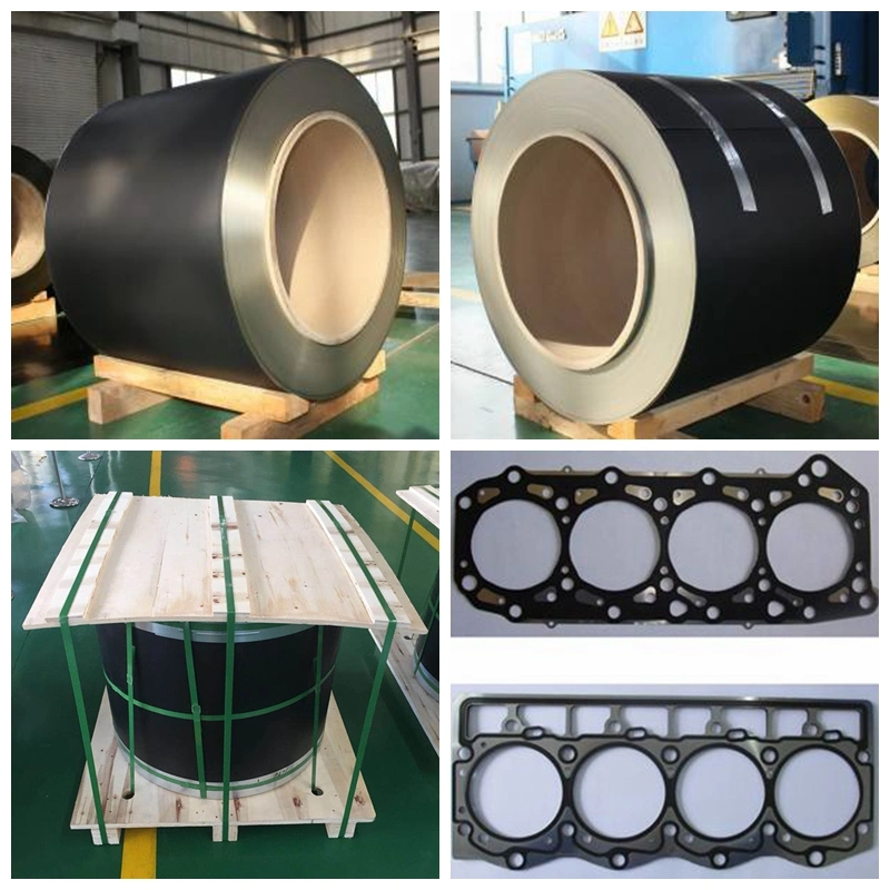 Full Hard Ss 301 FKM Coated Steel Composite Material Coating