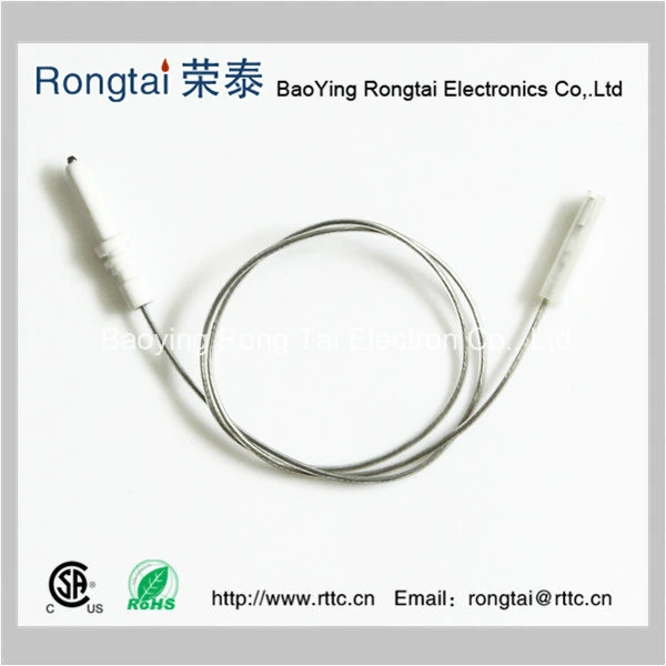 Ceramic Electrode for Gas Ignition