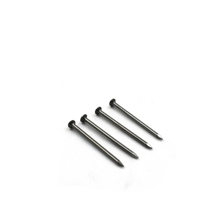 Hot Dipped Galvanized Flat Head Common Nails Iron Large Electro Galvanized Iron Spike Wire Steel Nails