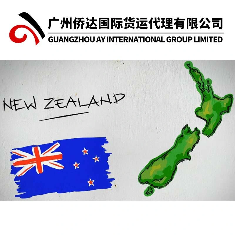 DDU/DDP Door to Door Delivery Logistics From China to New Zealand