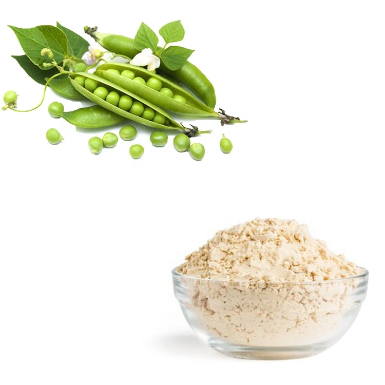 High quality/High cost performance  Organic Pea Protein Powder Pea Protein Isolate Powder Bulk