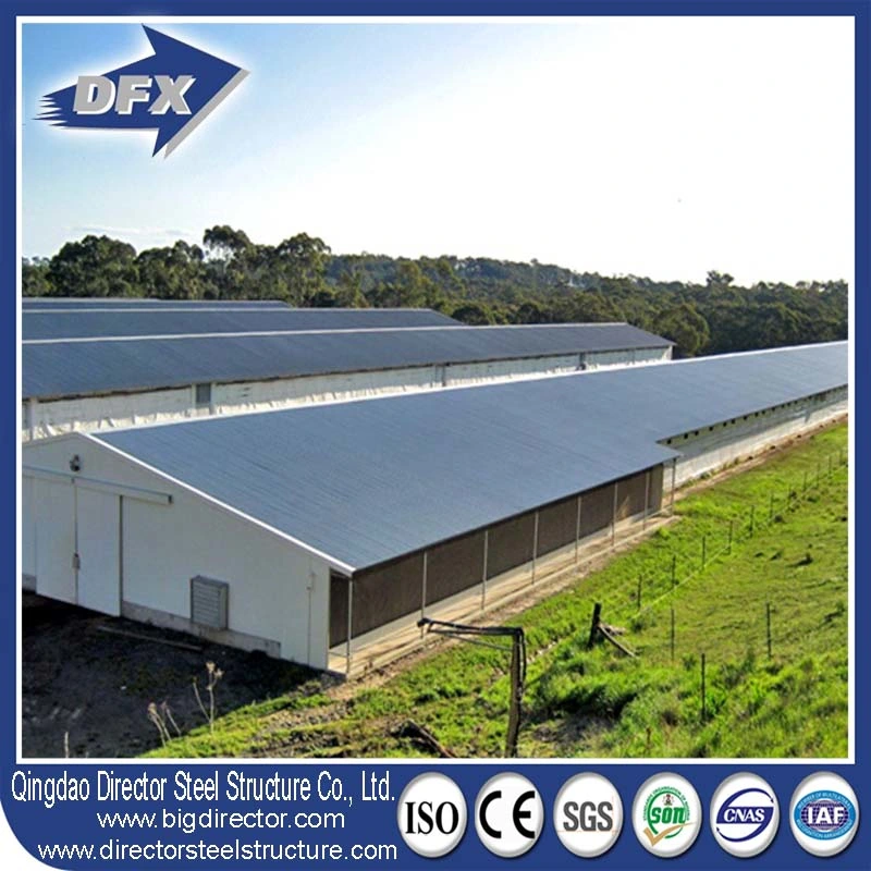 Import China Frame Poultry Farm Steel Structure Chicken House