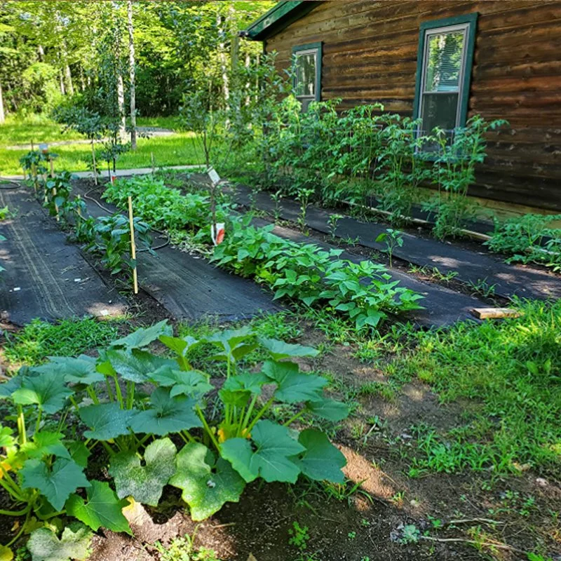 PP Spunbond Agriculture Woven Fabric/Weed Barrier/Weed Control