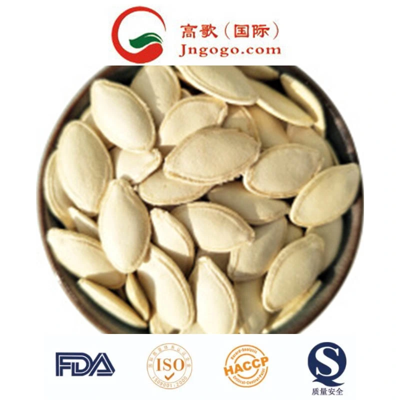 New Crop Hot Sale Shine Skin Pumpkin Seeds