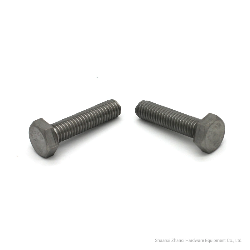 Hex Bolts Screw From China Zhanci Hardware