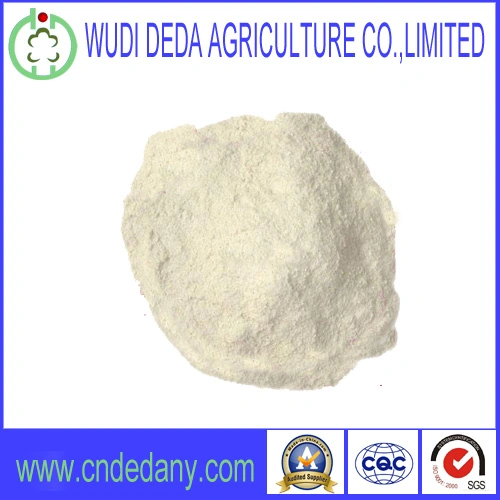 Animal Feed Rice Protein Meal High quality/High cost performance 