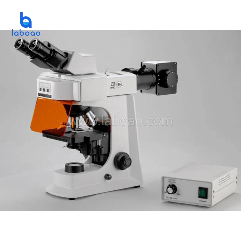 Digital Camera Biological Microscope for Advanced Teaching and Clinical Examination