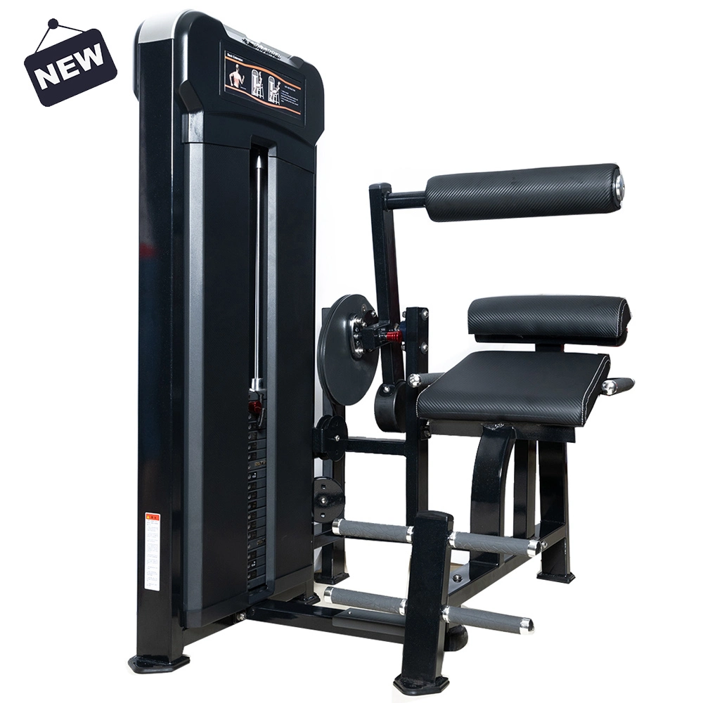 Realleader Best Gym Exercise Equipment Fitness Bodybuilding of Back Extension (M3-1016)