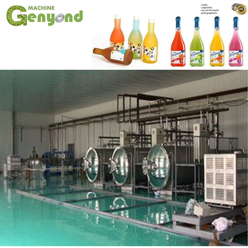 Custom Fruit Wine Processing Plant for Various Fruits Wine Produce