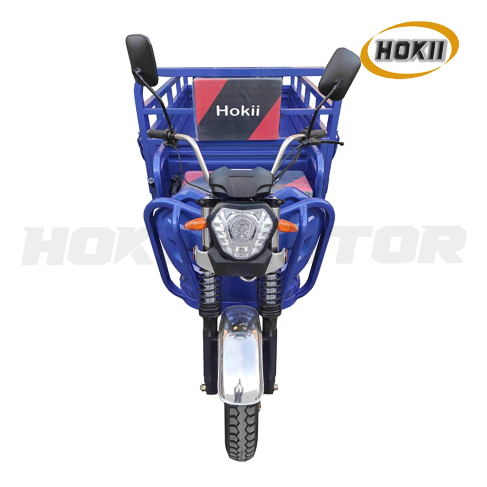 Hokii Motor Fabricant 1800W Motor Electric tricycles trois roues adulte Tricillo Electrico pour le transport de tricycles de chargement lourd