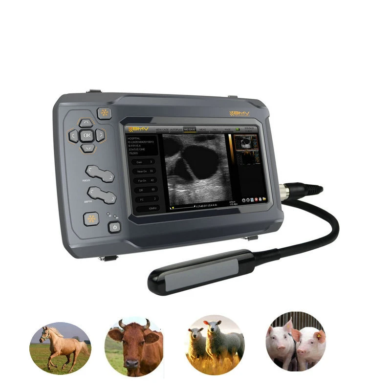 Hot Sale S6 Touch Screen Sonar Veterinary Ultrasound Scanner Price