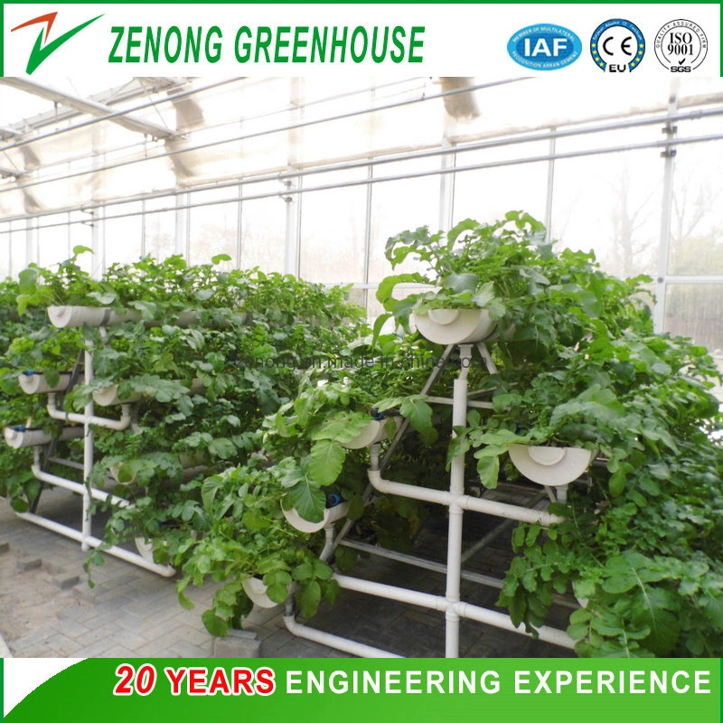 Easy Installation and Transportation Vertical a-Style Frame with PP/PVC Channels for Greenhouse Hydroponice