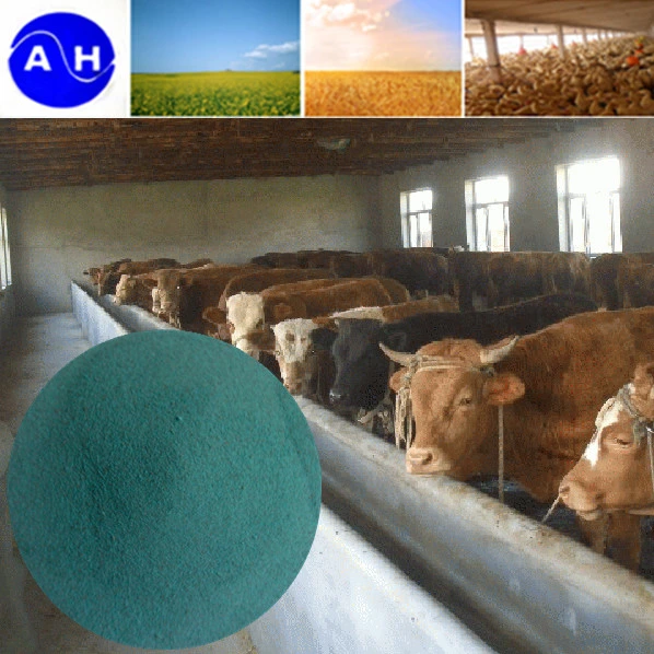 Amino Acid Chelate Copper Feed Grade