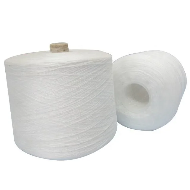 Wholesale/Supplier Factory Price 100% Polyester Ring Spun 1/30 Raw White