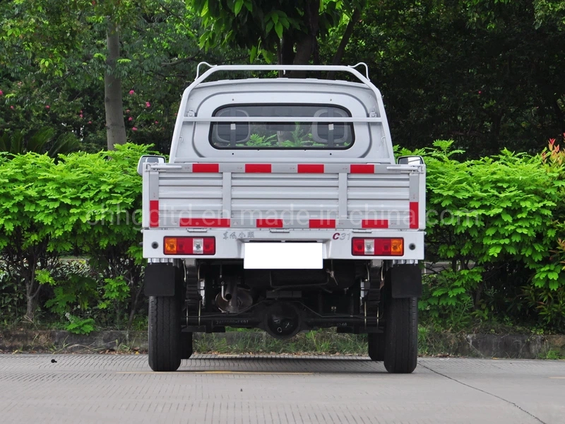 Grand chariot utilitaire de la famille de l'espace petit camion, 4x2 mini Truck économique