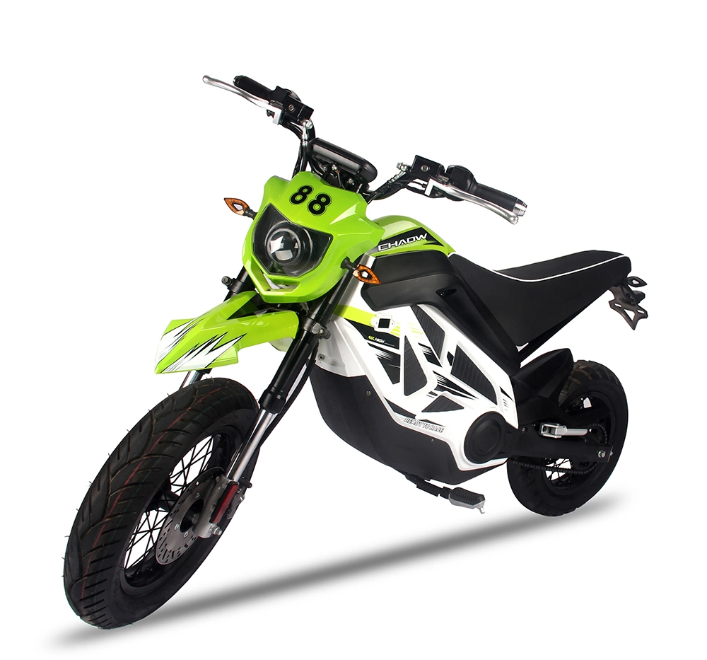 Diseño único de motocicleta eléctrica/bicicleta eléctrica con motor central de carreras deportivas de 2500W (V5)