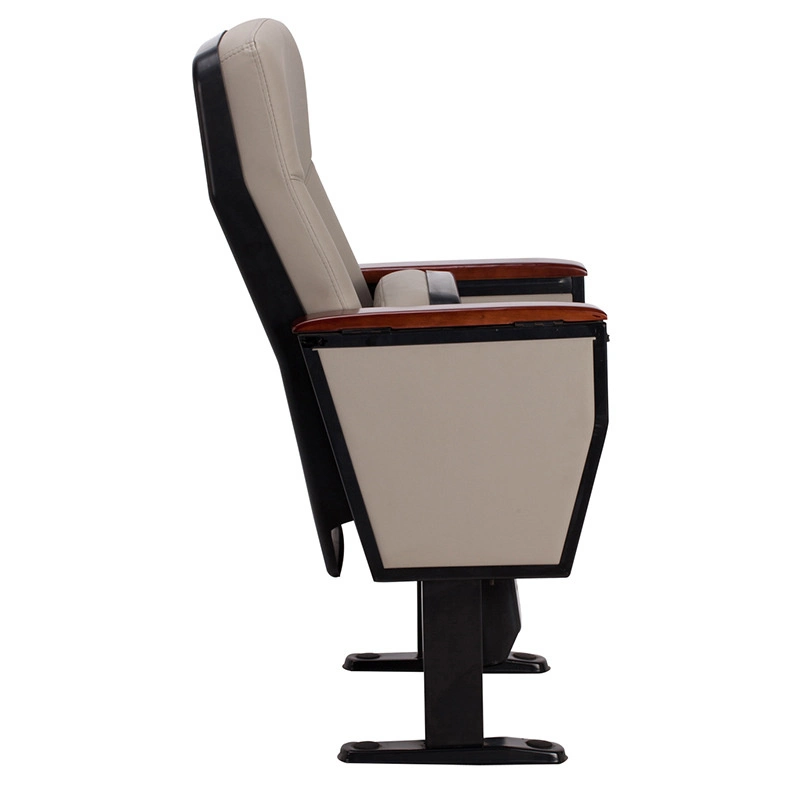 Factory Wholesale/Supplier Other Public Furniture Auditorium Chair