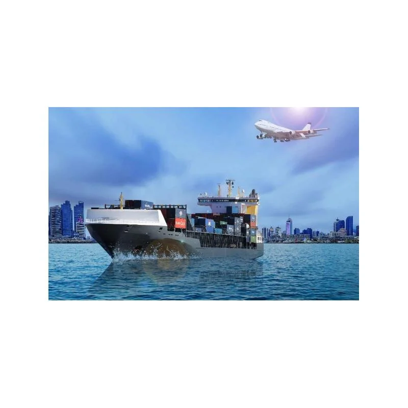 Professional Sea Freight Shipping Agent From China to Canada