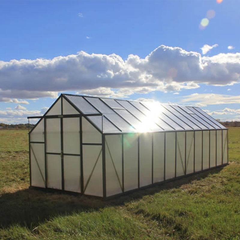 Serre de jardin en aluminium à assemblage rapide avec toit en polycarbonate imperméable (RDGU0812-6mm)