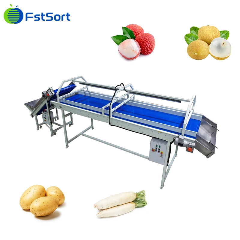 Fstsort Lychee/Longan/Tomato/Passion Fruit/Dates/Apple/Orange/Tangerine Vegetable Inspection Table Fruit Picking Table Fruit and Vegetable Processing Machine