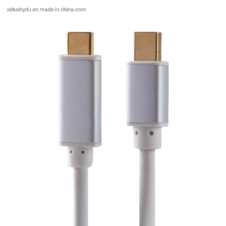 Cabo de vídeo DisplayPort 4K * 2K USB C Type para Mini DP