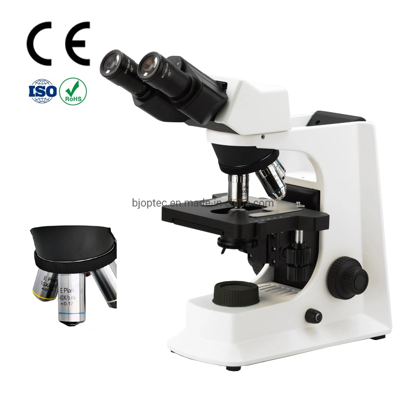 Instrument optique de la résolution 2000x avec Amscope microscope trinoculaire pour la personnalisation de base