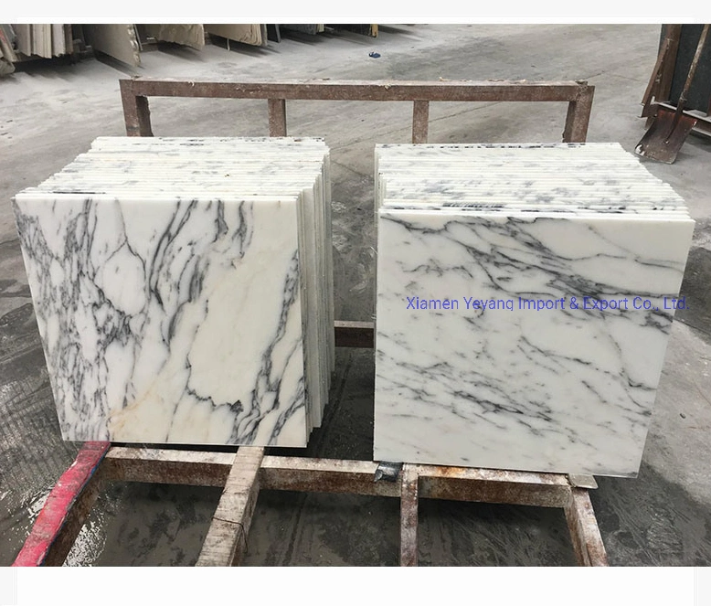 White Marble Slab/Countertop/Vanitys/Bartops for Kitchen/Backsplash/Bathroom for Hotel Project Wholesale/Supplier