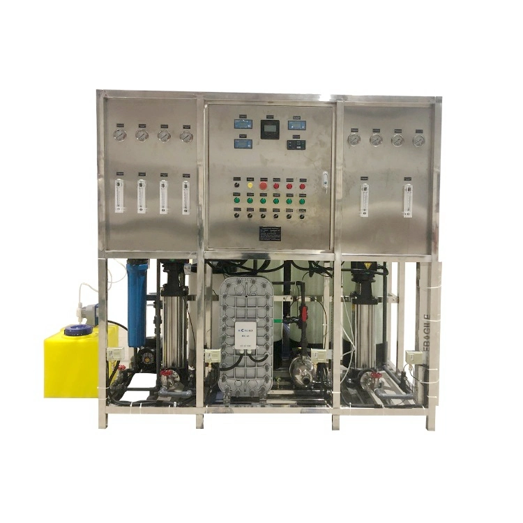 Double Stage RO System with EDI Module for Deionized Water 1000L/H
