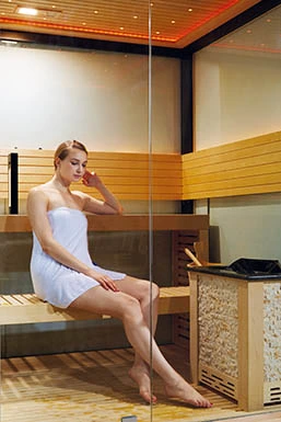 Luxury Steam Sauna Indoor Steam Sauna Family Sauna Room (M-6050)