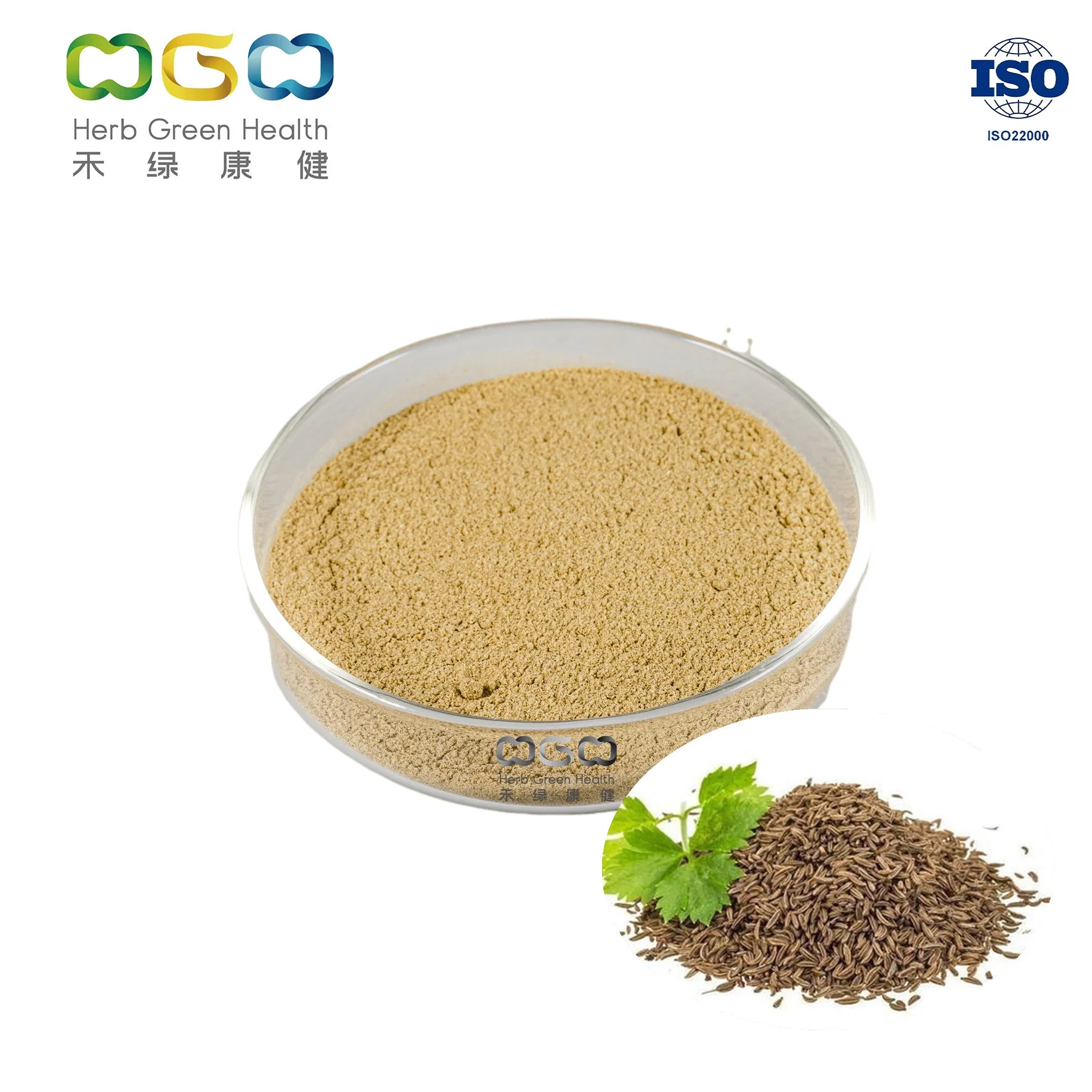 ISO Certified Factory Seasoning Cumin Powder