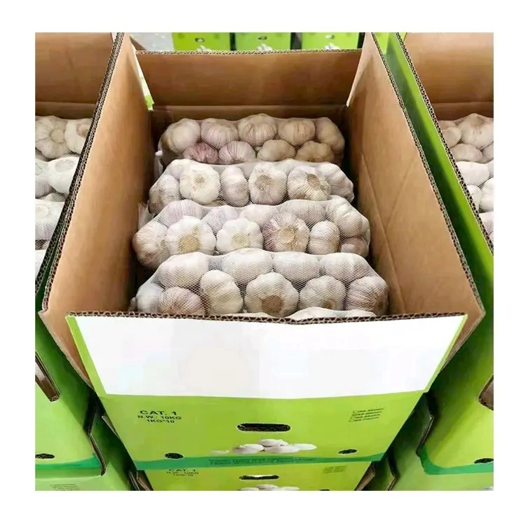 Guter Preis frischer Knoblauch 5kg/Beutel