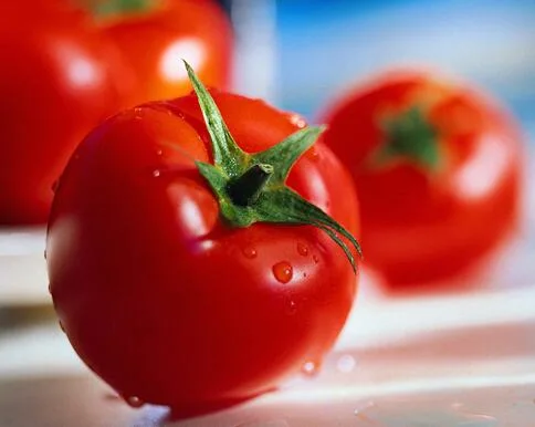 Aditivo alimentario del ingrediente alimentario de pasta de tomate