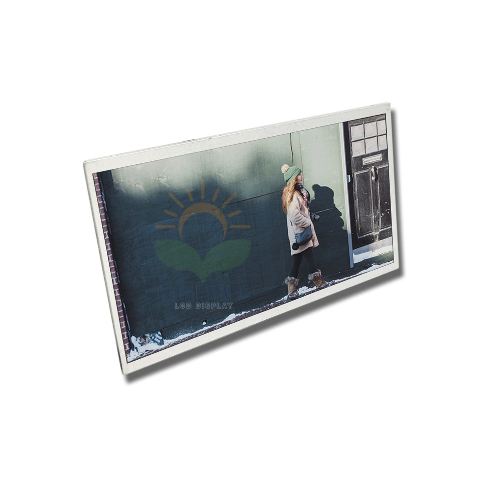 10.1 polegadas 1024X600 Color Display TFT LCD sem tela sensível ao toque