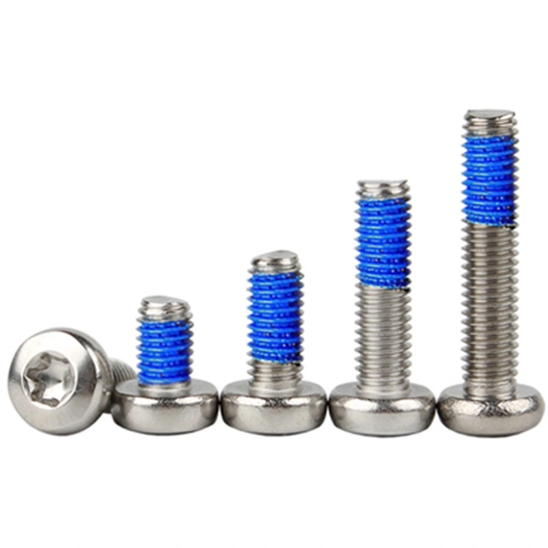 Customized Rust-Proof and Durable Stainless Steel 304 Pan Head Torx Screws with Nylon Patch