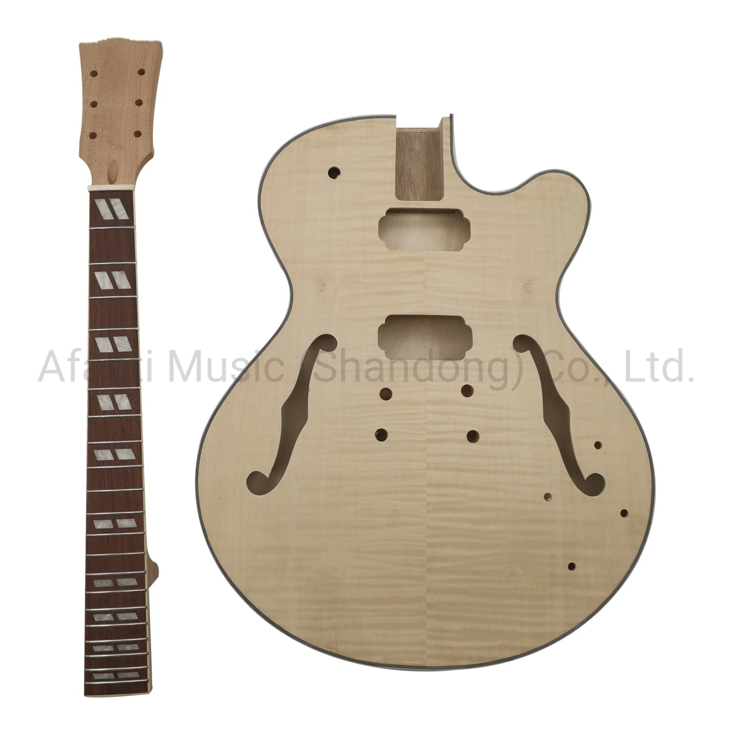 Single Cutaway Semi Hollow Body Electric Guitar Kit