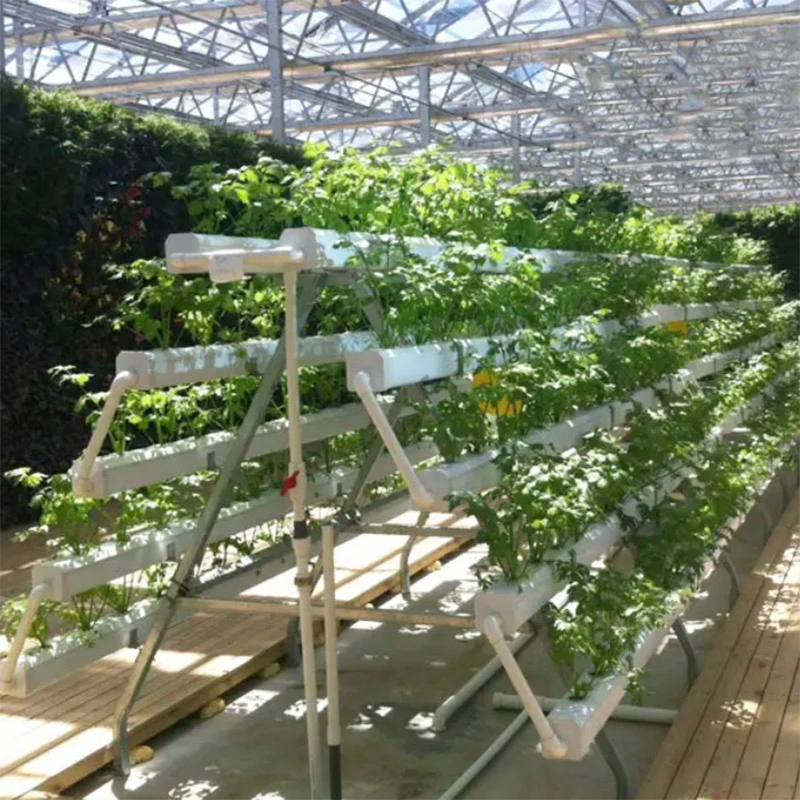 Verduras de hoja creciente Agricultura Vertical Nft tubo PVC de la siembra de gases de efecto del sistema de cultivo hidropónico Nft