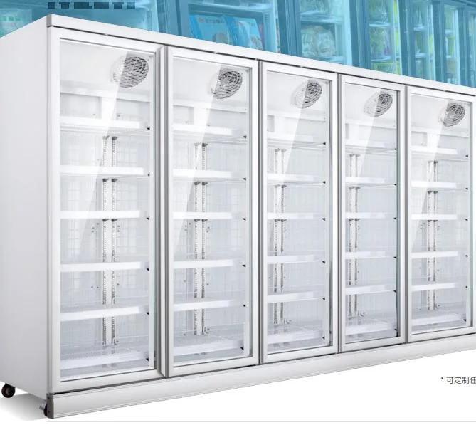 Supermarket Commercial Display Freezer with LED Lights Inside Double Glass Doors