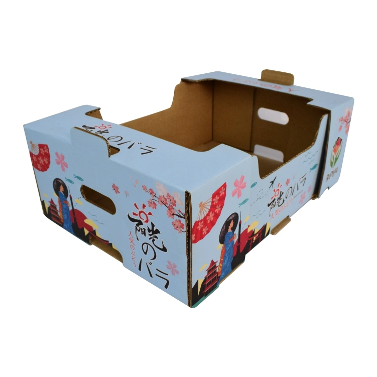 Mostos de embalagem de papel colorido retangular personalizada de fábrica da Caixa de Papelão Ondulado Caixa Mostrar caixa de acondicionamento de frutas