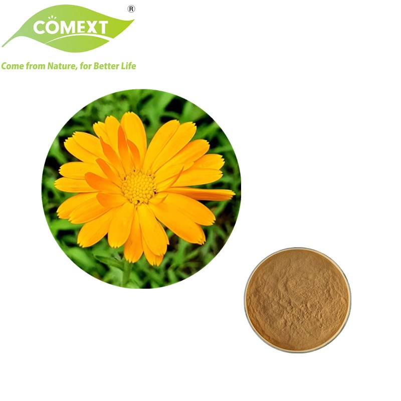 Comext USA Warehouse Health Produkt 10: 1 20: 1 Halten Sie Beauty Vitamine Calendula Flower Extract