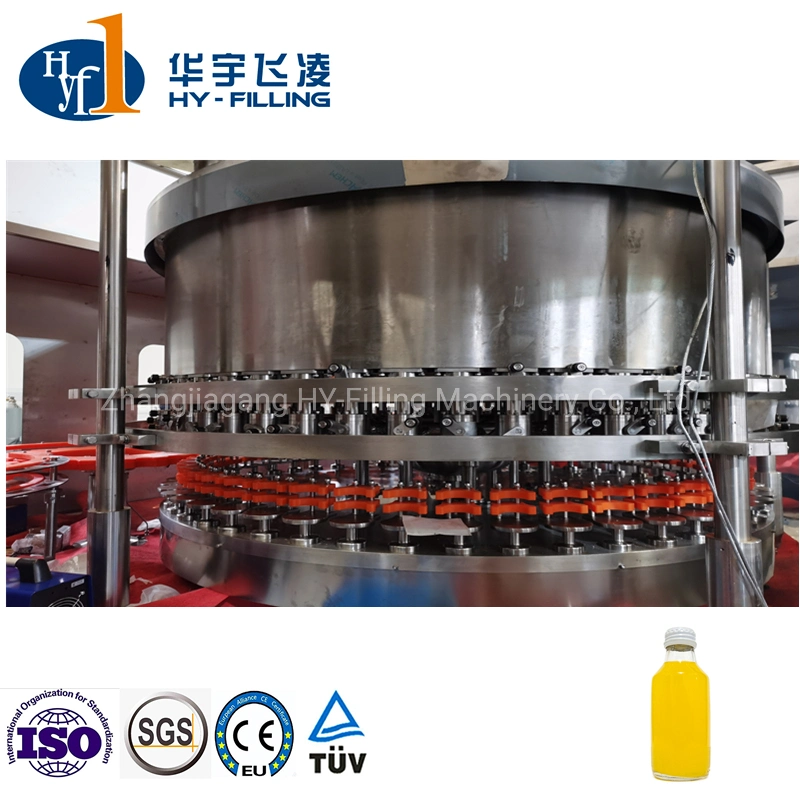 Ropp Cap, Crown Normal Cap, Screw Cap Full Auto Glass Bottle Beverage Juice Dairy Drink Bottling Rinsing Hot Filling Capping Machine Beverage Processing Machine