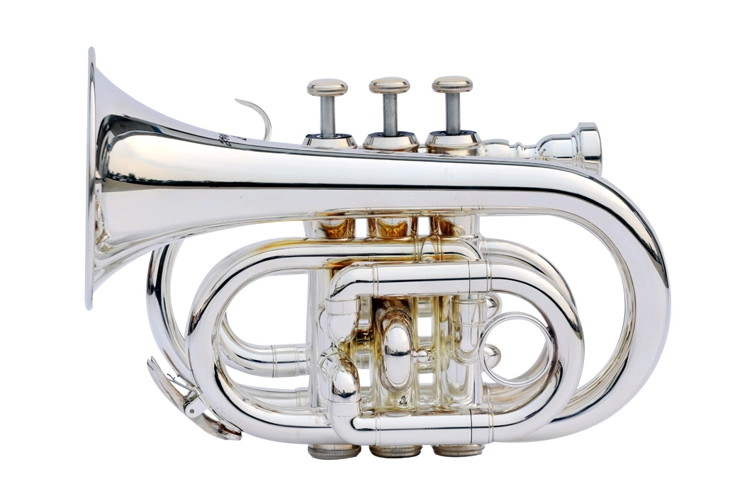 Sales Pocket Trumpet /All Colors