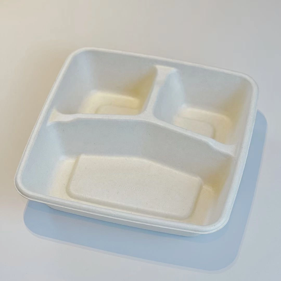 100% Biodegradable Compostable Disposable Bagasse Sugarcane Bamboo Pulp Takeaway Lunch Tray Salad Box